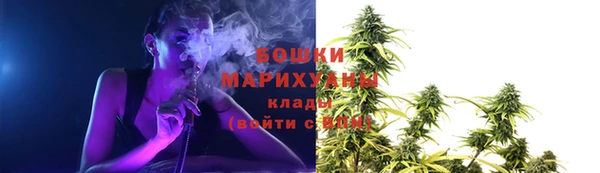 MESCALINE Аркадак