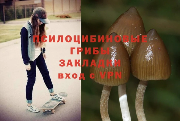 MESCALINE Аркадак