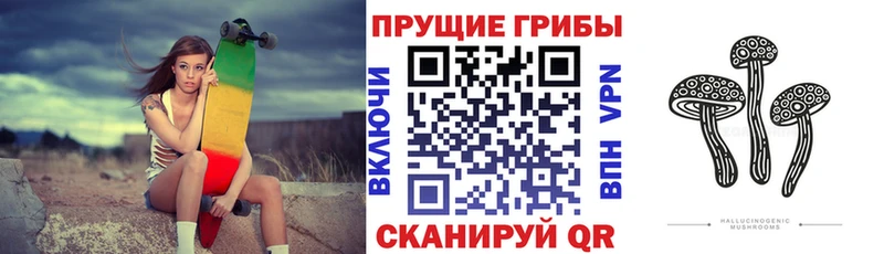 Псилоцибиновые грибы Psilocybe продажа наркотиков Саки